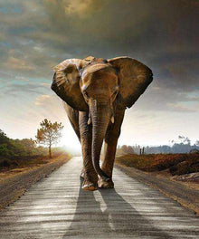 Elefant auf dem Weg Diamond Painting Motiv