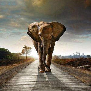 Elefant auf dem Weg Diamond Painting Motiv