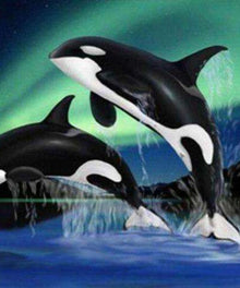 Orcas bei Nordlichtern Diamond Painting Motiv