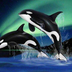 Orcas bei Nordlichtern Diamond Painting Motiv