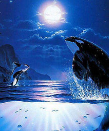 Orcas bei Vollmond Diamond Painting Motiv