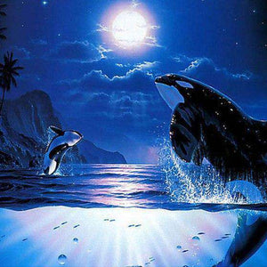 Orcas bei Vollmond Diamond Painting Motiv