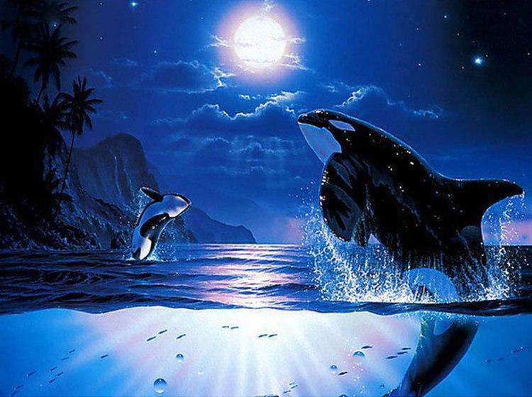 Orcas bei Vollmond Diamond Painting Motiv
