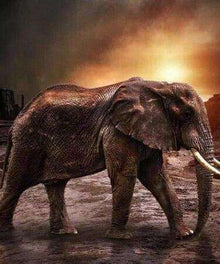 Alter Elefant unterwegs Diamond Painting Motiv