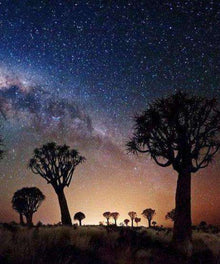 Sternenhimmel über Afrika Diamond Painting Motiv