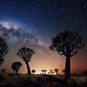 Sternenhimmel über Afrika Diamond Painting Motiv