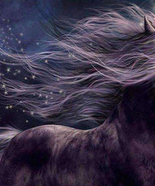 Mystisches Pferd in der Nacht Diamond Painting Motiv