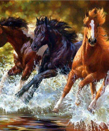 Galoppierende Pferde im Wasser Diamond Painting Motiv