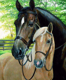 Schwarzes und braunes Pferd - Diamond Painting Pferdemotiv