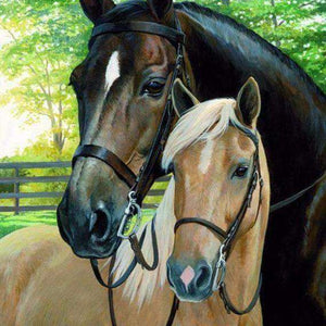 Schwarzes und braunes Pferd - Diamond Painting Pferdemotiv