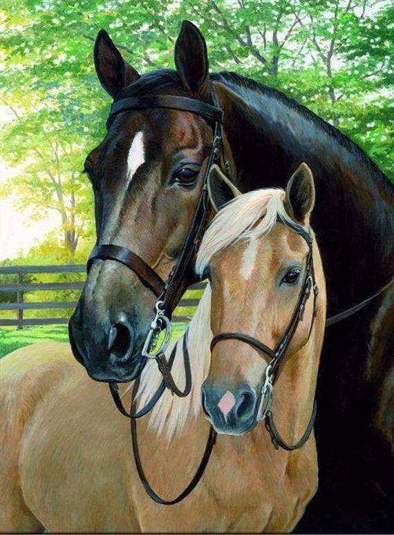 Schwarzes und braunes Pferd - Diamond Painting Pferdemotiv