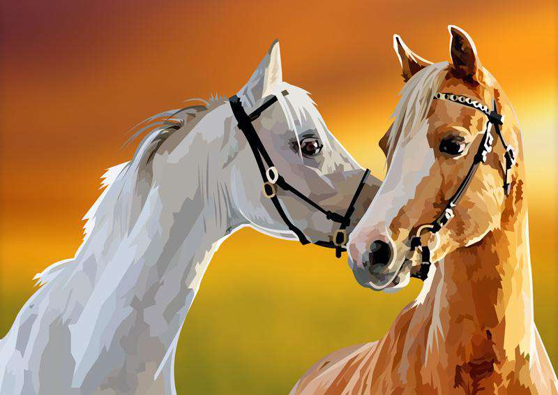 Zwei Pferdefreunde Diamond Painting Motiv