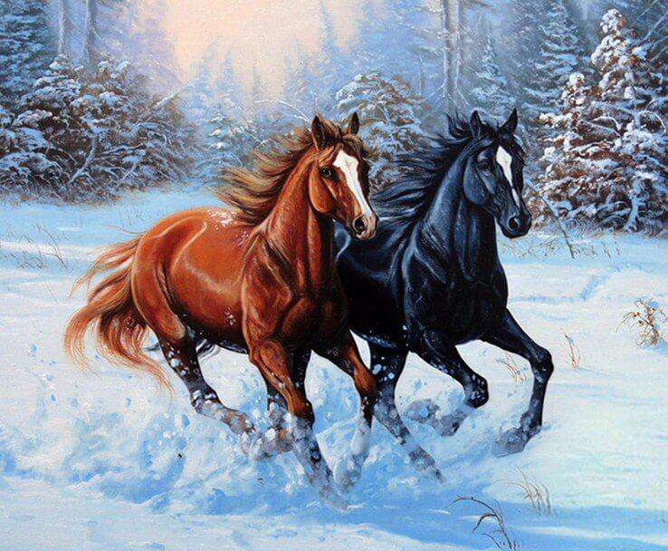 Pferde im Schnee im Winterwald Diamond Painting Motiv