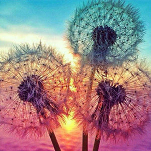 Löwenzahn im Sonnenuntergang Diamond Painting Motiv