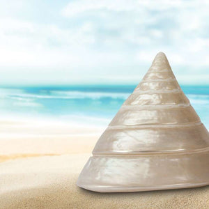 Perlmuttmuschel am Meer Diamond Painting Strandmotiv