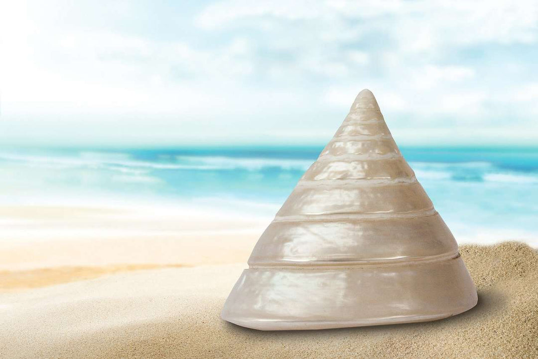 Perlmuttmuschel am Meer Diamond Painting Strandmotiv