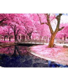 Park mit rosa Blüten Diamond Painting mit Brücke und Wasser