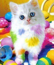 Osterkatze mit bunten Eiern Diamond Painting