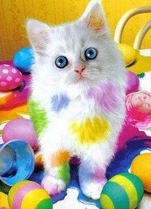 Osterkatze mit bunten Eiern Diamond Painting
