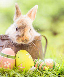 Osterhase im Korb Diamond Painting mit Ostereiern im Gras