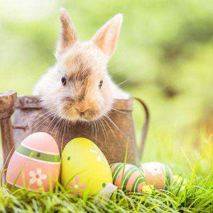 Osterhase im Korb Diamond Painting mit Ostereiern im Gras