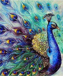 Pfau mit gespreizten Federn Diamond Painting Motiv