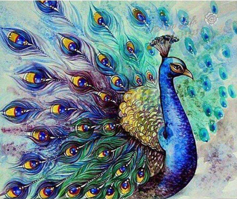 Pfau mit gespreizten Federn Diamond Painting Motiv