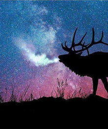 Hirsch unter Sternenhimmel Diamond Painting Tiermotiv