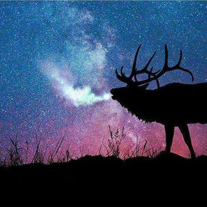 Hirsch unter Sternenhimmel Diamond Painting Tiermotiv