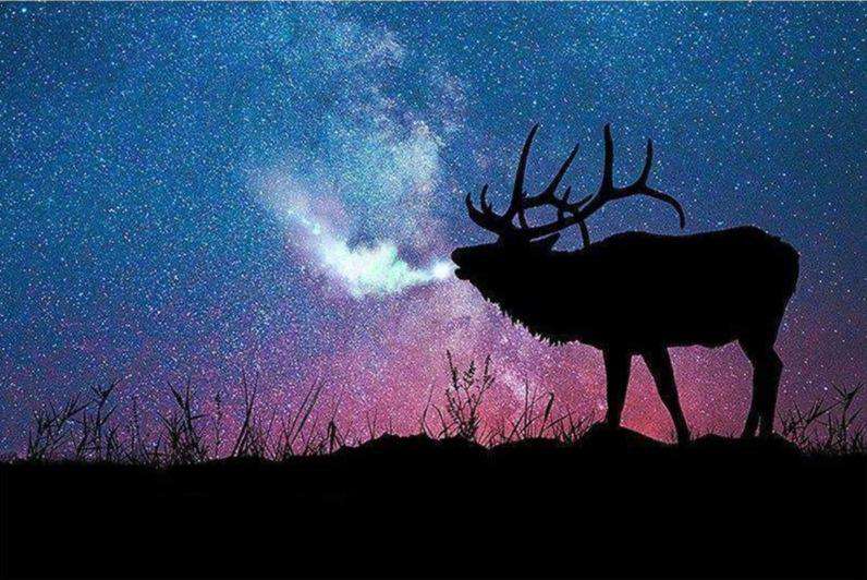 Hirsch unter Sternenhimmel Diamond Painting Tiermotiv