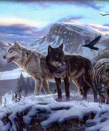 Rocky Mountain Wölfe Diamond Painting