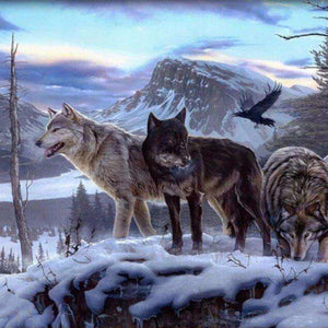 Rocky Mountain Wölfe Diamond Painting