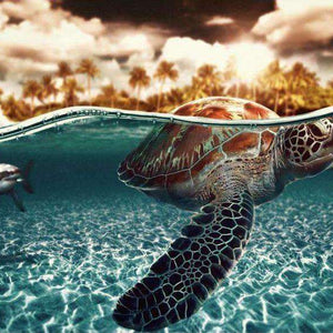 Schildkröte im Wasser Diamond Painting