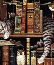 Schlafende Katze im Bücherregal - Diamond Painting Katzenmotiv