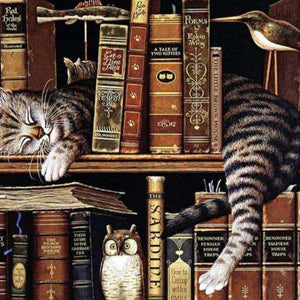 Schlafende Katze im Bücherregal - Diamond Painting Katzenmotiv