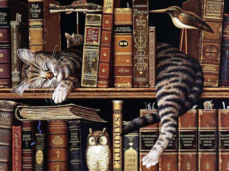 Schlafende Katze im Bücherregal - Diamond Painting Katzenmotiv