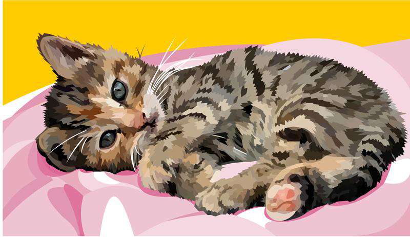 Süße Katze Exklusiv Diamond Painting