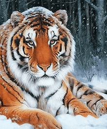 Schneetiger im Winterwald - Diamond Painting Tiermotiv