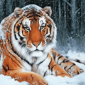 Schneetiger im Winterwald - Diamond Painting Tiermotiv