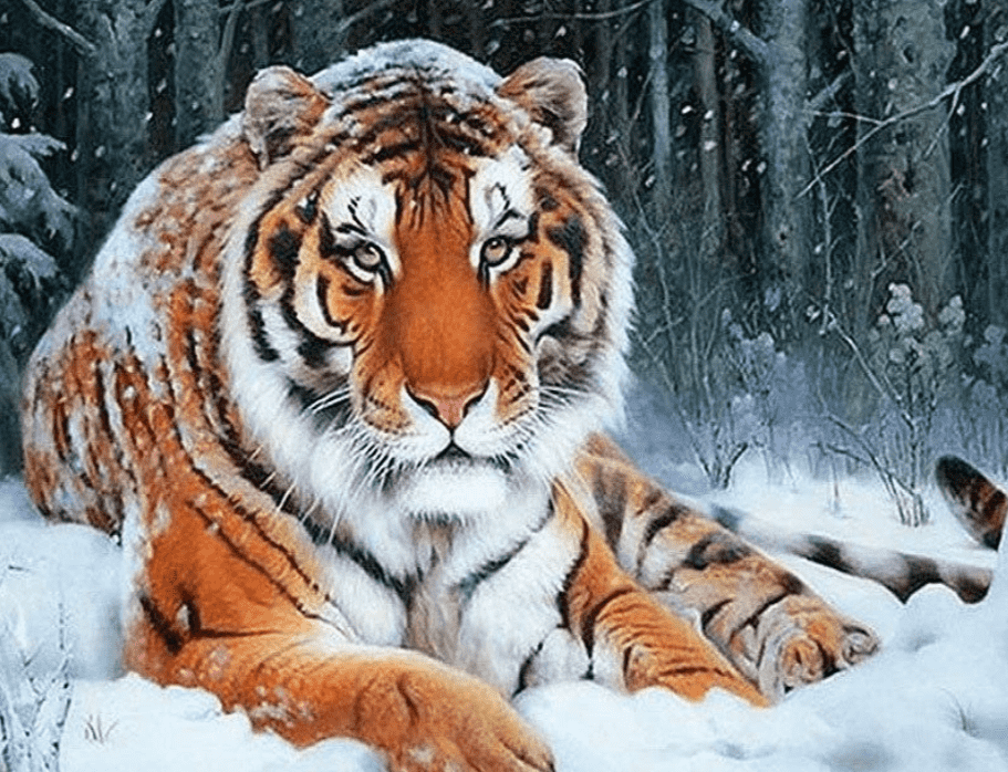Schneetiger im Winterwald - Diamond Painting Tiermotiv
