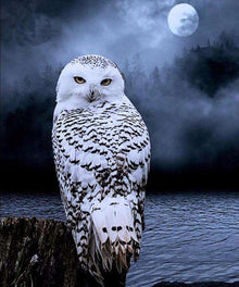 Schneeeule im Mondschein - Diamond Painting Vogelmotiv