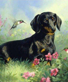 Teckel mit Vögeln Diamond Painting