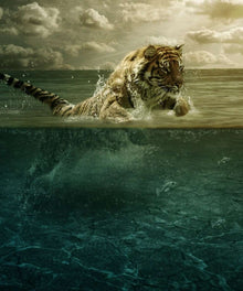 Tiger auf der Jagd im Wasser - Diamond Painting Motiv