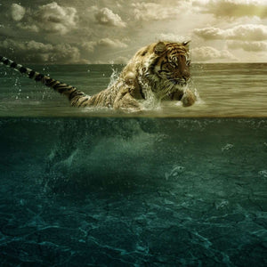 Tiger auf der Jagd im Wasser - Diamond Painting Motiv
