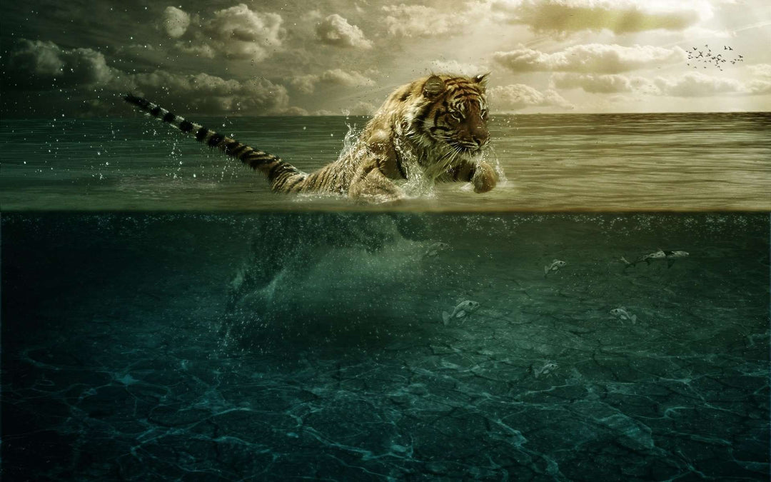 Tiger auf der Jagd im Wasser - Diamond Painting Motiv