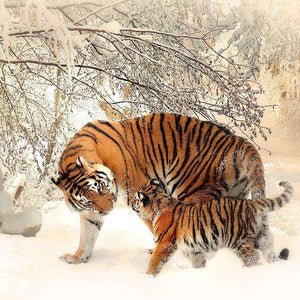 Tiger und Jungtier - Diamond Painting mit Winterlandschaft