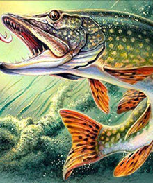 Hecht - Diamond Painting Fischmotiv