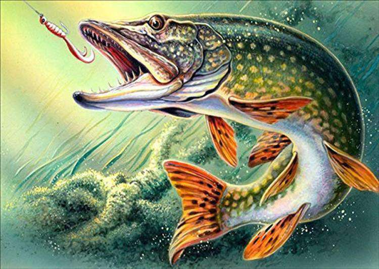 Hecht - Diamond Painting Fischmotiv