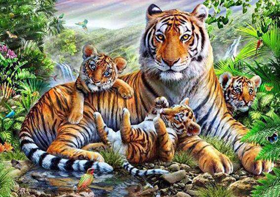 Tigerfamilie mit Jungtieren Diamond Painting