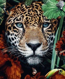 Leopardenporträt im Dschungel Diamond Painting